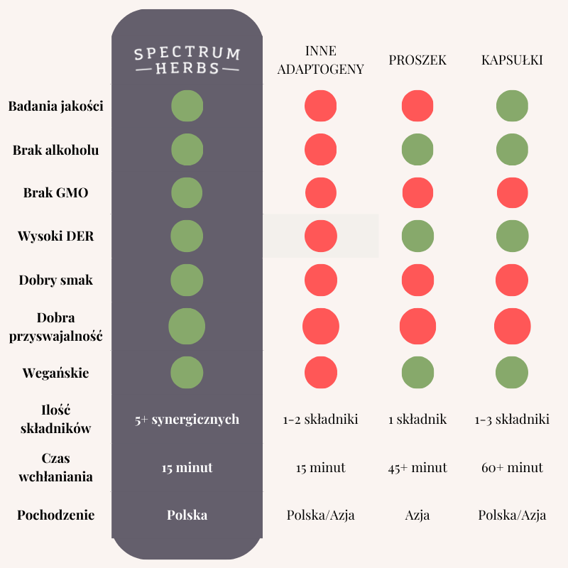 Sowa na Koncentrację