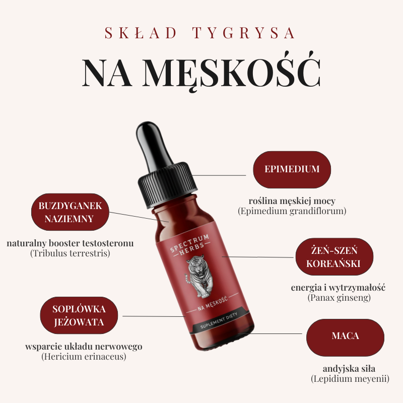 Tygrys na Męskość