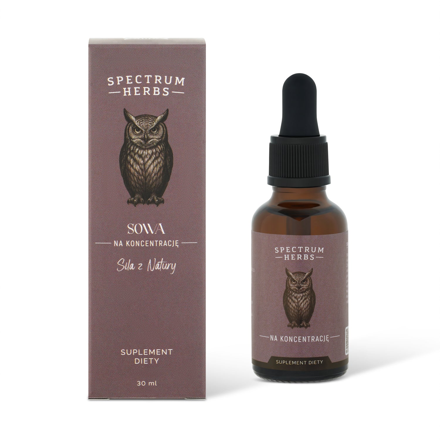 Sowa na Koncentrację