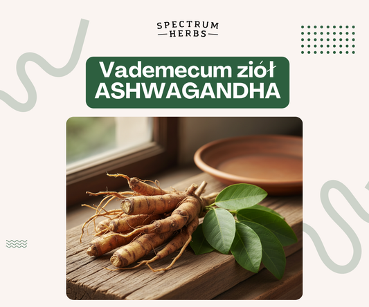 Ashwagandha - Kompletny przewodnik naukowy: działanie, dawkowanie i zastosowania