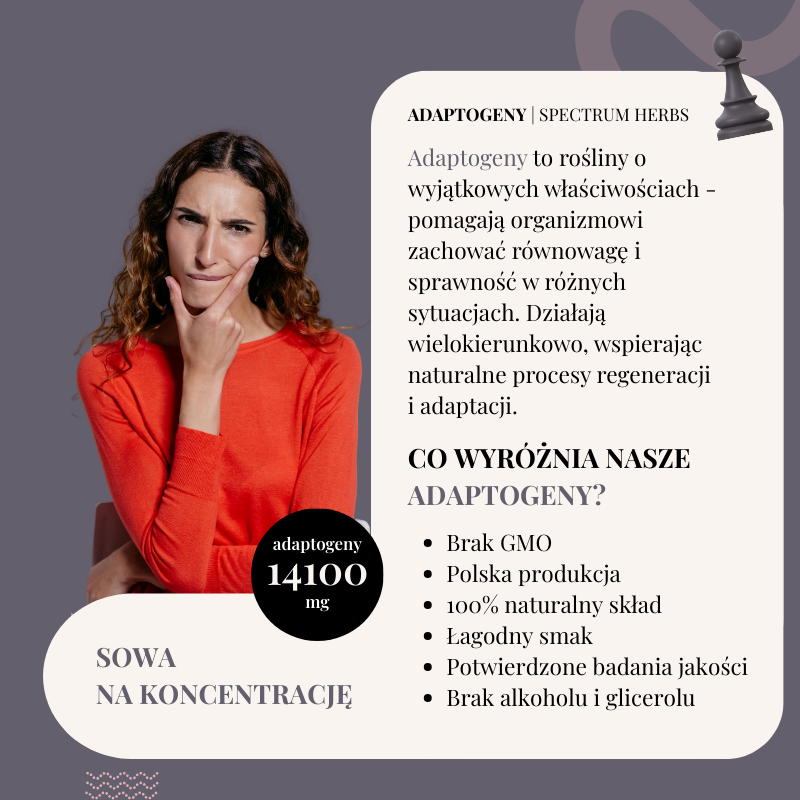 Sowa na Koncentrację