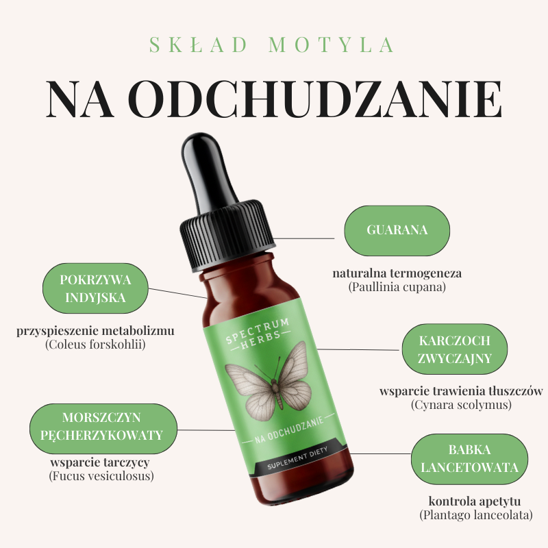 Motyl na Odchudzanie