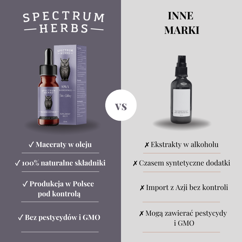 Sowa na Koncentrację