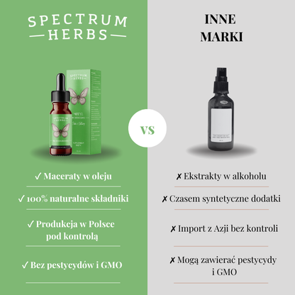 Motyl na Odchudzanie