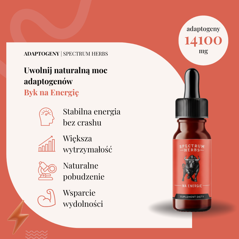 Byk na Energię