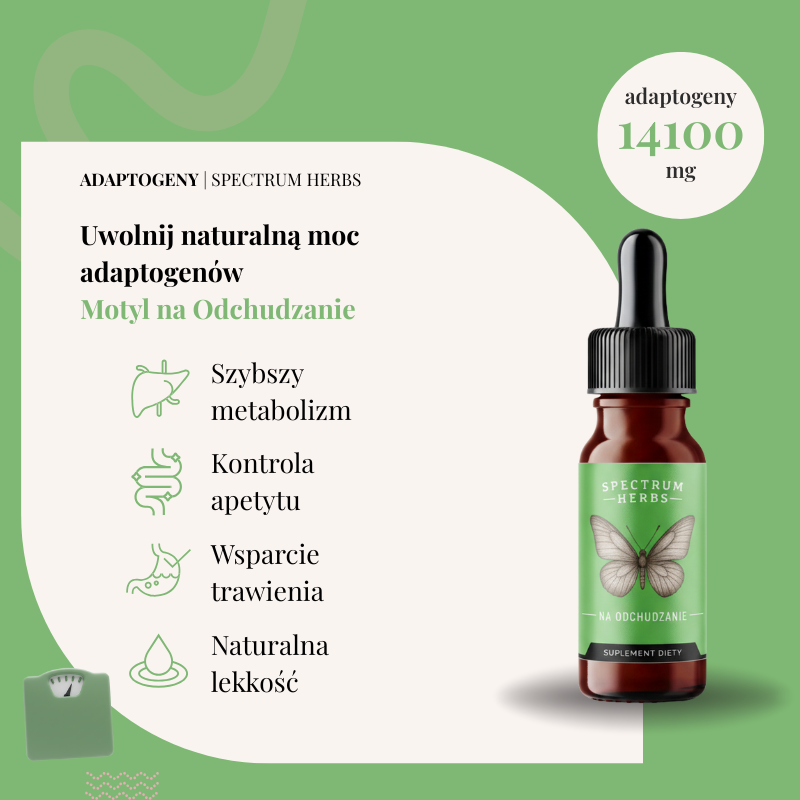 Motyl na Odchudzanie