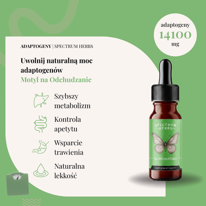 Motyl na Odchudzanie