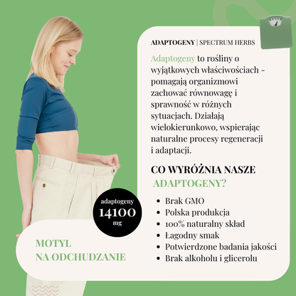 Motyl na Odchudzanie