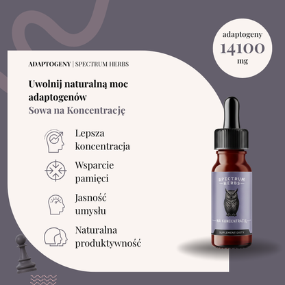 Sowa na Koncentrację