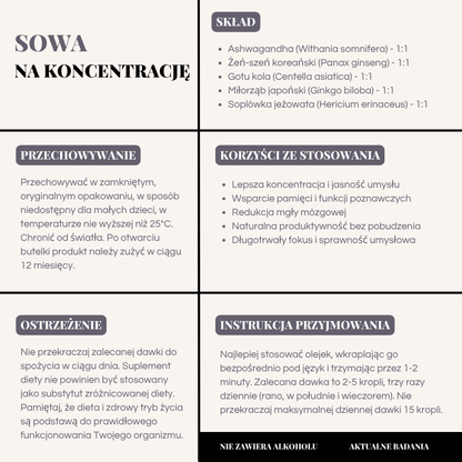 Sowa na Koncentrację