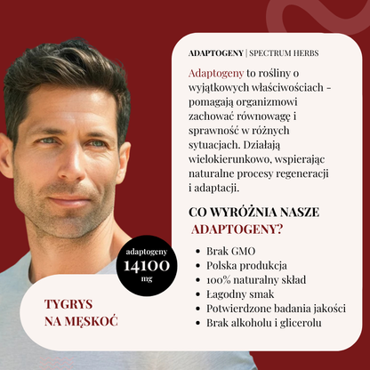 Tygrys na Męskość