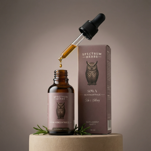 Sowa na Koncentrację