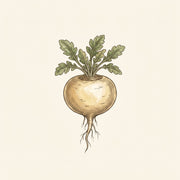 Żeń-szeń peruwiański — Maca